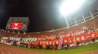 场馆设施翻新完成比赛场地改造计划推进，场馆设计方案